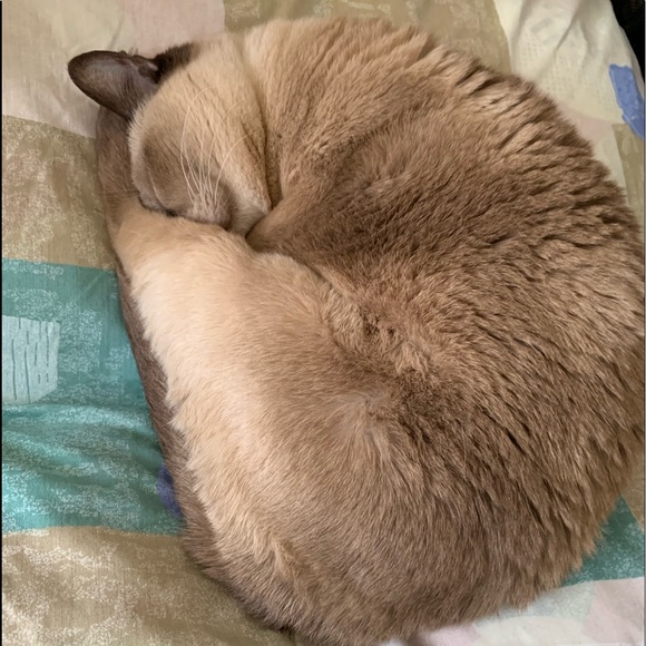 Meet Your Posher, Melody. - Picture 5 of 7